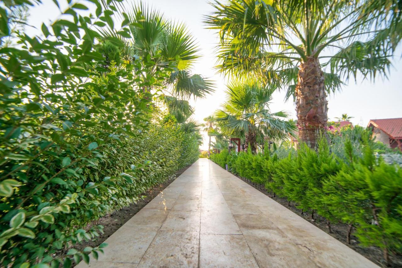 Nerissa Hotel Çıralı Esterno foto