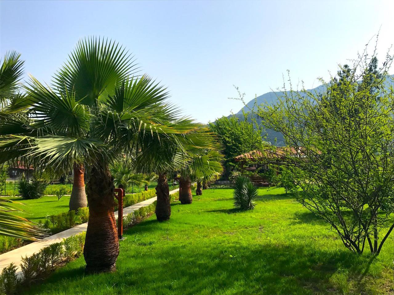 Nerissa Hotel Çıralı Esterno foto