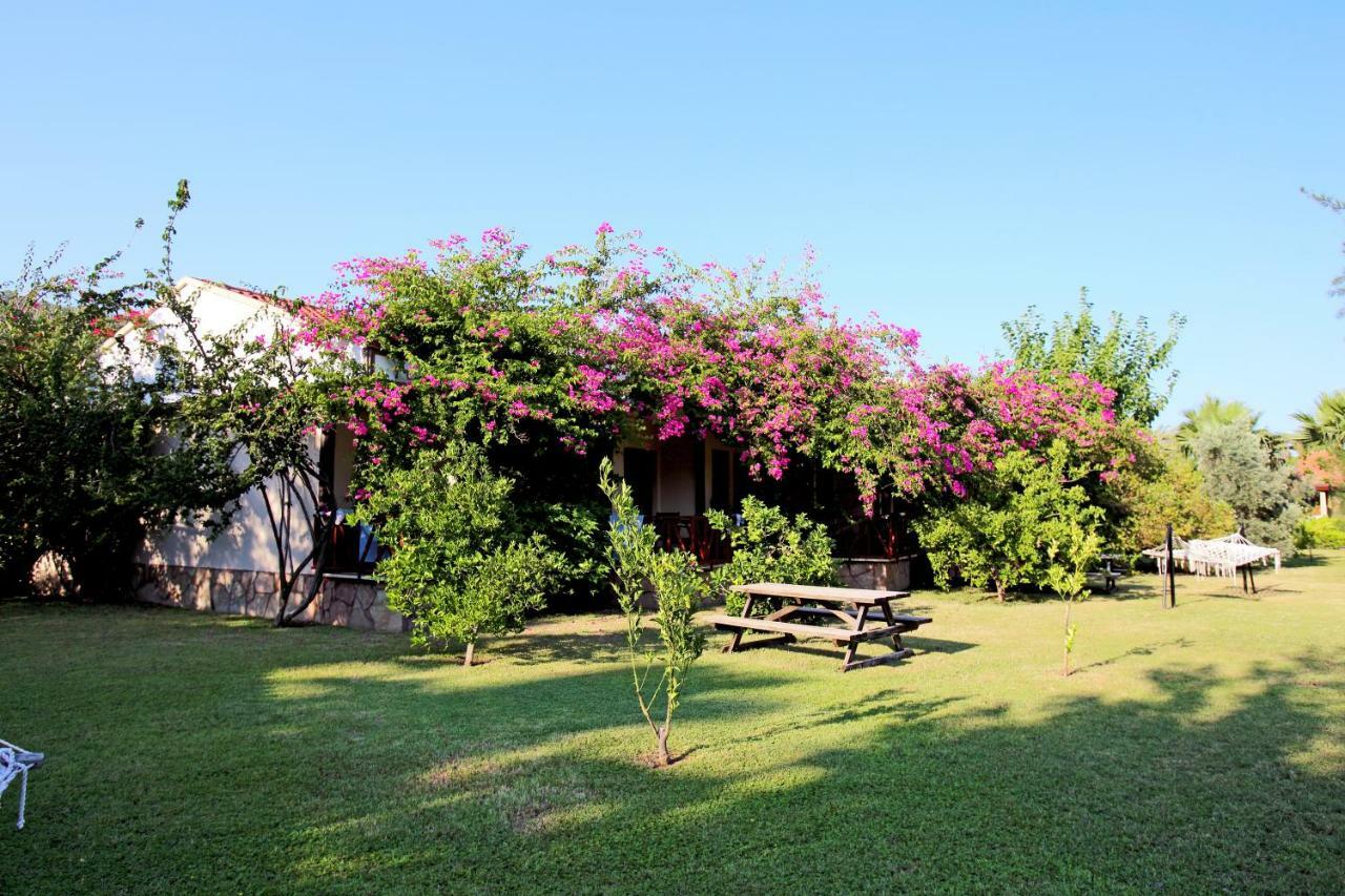Nerissa Hotel Çıralı Esterno foto