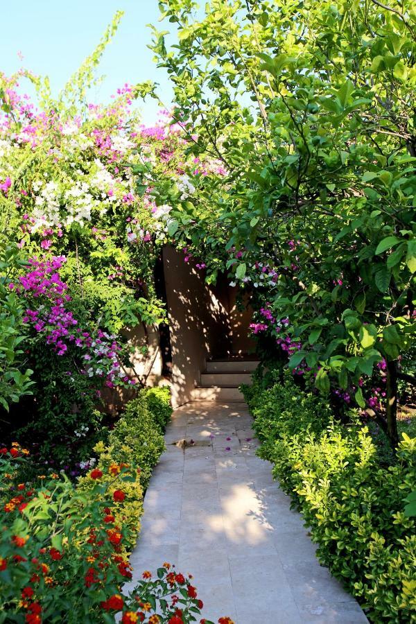 Nerissa Hotel Çıralı Esterno foto